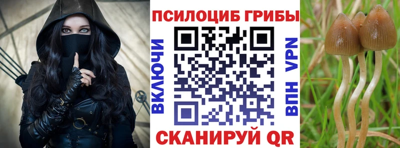 Псилоцибиновые грибы GOLDEN TEACHER Шарья